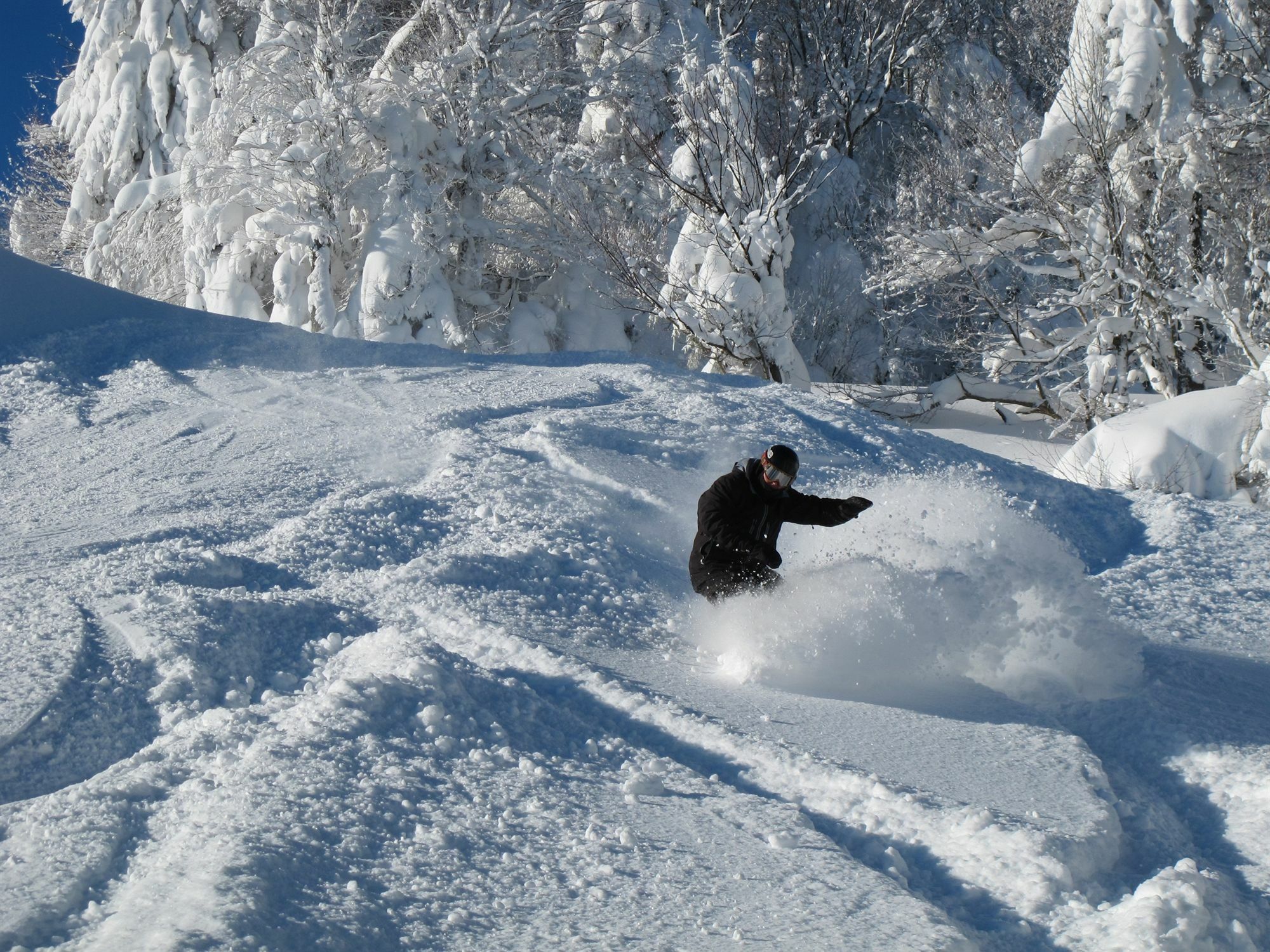 Seneca - Snowshoe Exterior photo